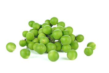 Solanum torvum on white background