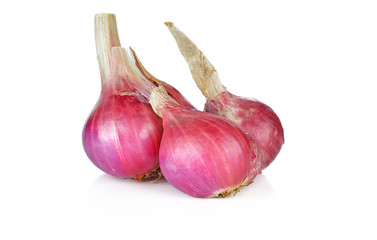 shallots on white background