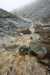 Mountain stream in canyon