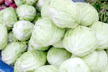 Group of Cabbages