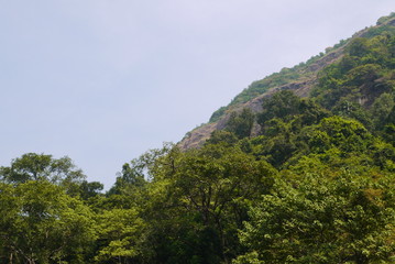 Fototapeta premium горы Западные Гаты поросшие зелеными южными растениями