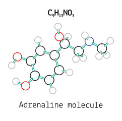 C9H13NO3 adrenaline molecule © Maria Schmitt