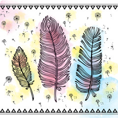 Set of three ethnic feathers. Bright colored feathers on white background. Vector decorative elements hippie