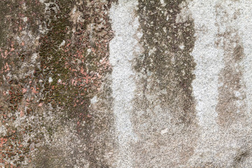 background/texture from the surface of the stone.