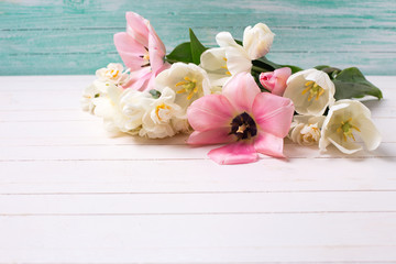 Spring white and pink  tulips and narcissust on white painted wo