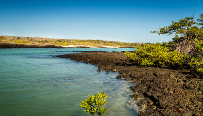 Fototapeta na wymiar View of the Galapagos