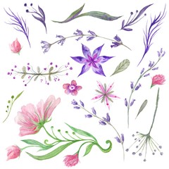 Set of Watercolor Forest Flowers and Herbs - 106187339