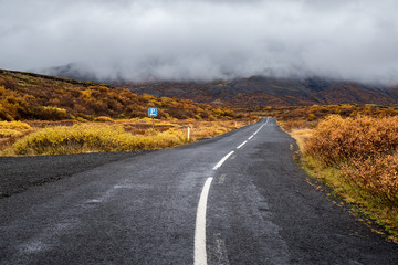 Empty road in autumn of Iceland