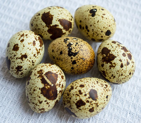Obraz premium Quail eggs on a wite napkin