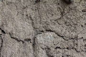 background/texture from the surface of the stone.