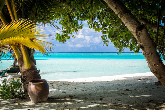 Мальдивские острова. Вид из-под пальмы на море.