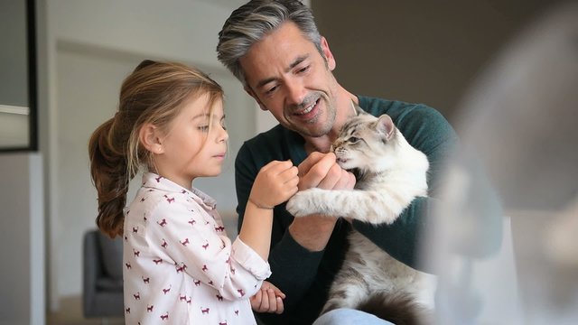 Daddy with little girl cuddling with cat