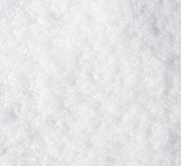 fresh snow texture