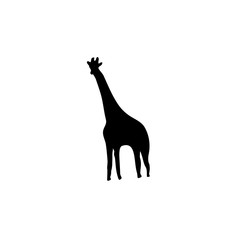 Giraffe vector icon.