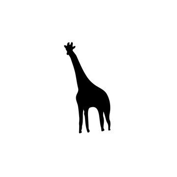 Giraffe vector icon.