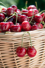 Close up, rot, hängend, Korbgriff