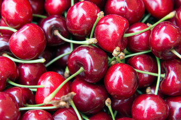 Close up rote Kirschen