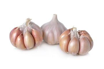 unpeeled whole garlic bulb on white background