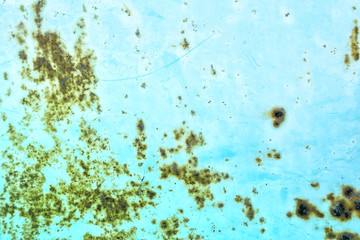 rusty background (263)