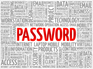 Password word cloud concept
