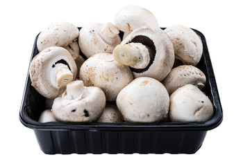 Mushrooms isolated on white