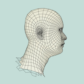 Head of the Person from a 3d Grid. Human Head Wire Model. Human Polygon Head. Face Scanning. View of Human Head. 3D Geometric Face Design. 3d Polygonal Covering Skin. Geometry Polygon Man Portrait.