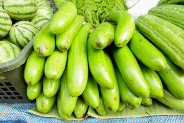 Green Eggplant