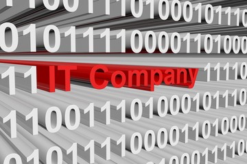 company it is presented in the form of binary code