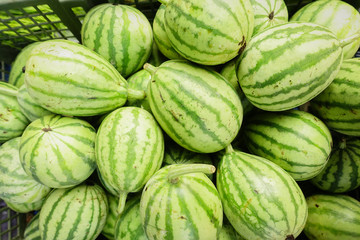 Young Water Melon ,