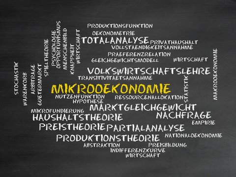 Mikro&ouml;konomie