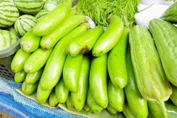 Green Eggplant
