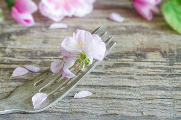 Cherry blossom on the fork food concept

