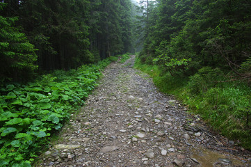 stone road in the mountains