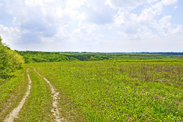 Fototapeta na wymiar Rural summer landscape with soil road