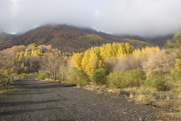 Paysage de Etna, Sicile