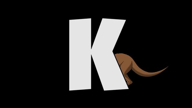 Letter K and  Kangaroo (background)
Animated animal alphabet. HD footage with alpha channel. Animal in a background of letter.