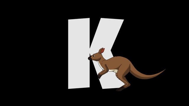 Letter K and  Kangaroo  (foreground)
Animated animal alphabet. HD footage with alpha channel. Animal in a foreground of letter.