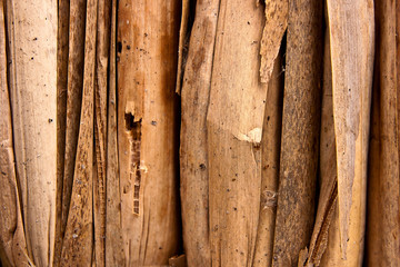 Reed wall natural background