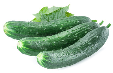 Cucumbers on the white background.