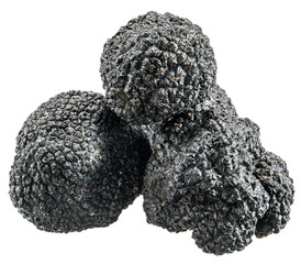 Black truffles. File contains clipping paths.