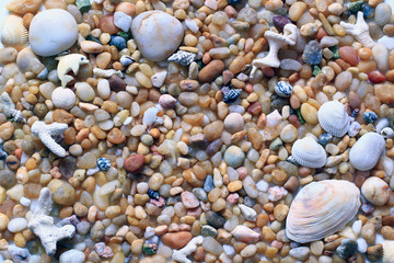 sea vacation, pebbles and sea shells on the beach for background