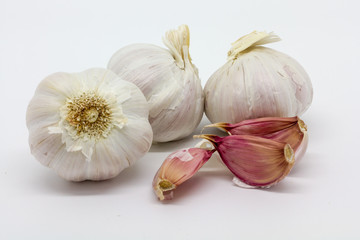 Garlic