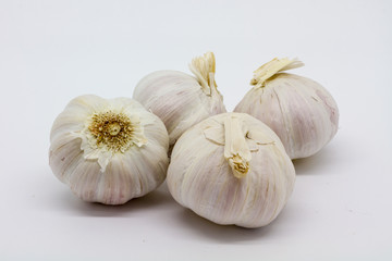 Obraz na płótnie Canvas Garlic Bulbs