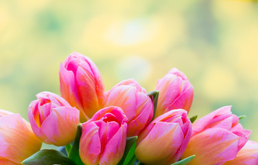 Fototapeta premium Spring flowers. Tulip bouquet on the bokeh background.