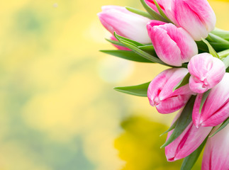 Spring flowers. Tulip bouquet on the bokeh background.