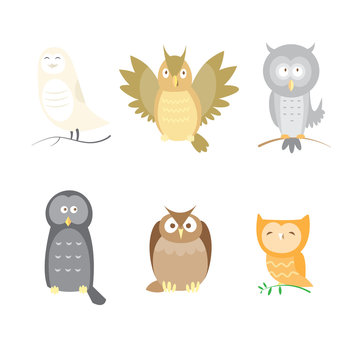 Cartoon owls set. Six different species of owls. Vector image.