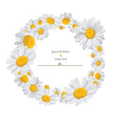 summer print with daisies