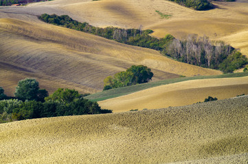 Tuscany Landscape,autumn field