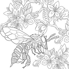 Fototapeta premium Zentangle stylized cartoon bee flying among sakura flowers. Sketch for adult antistress coloring page. Hand drawn doodle, zentangle, floral design elements for coloring book.