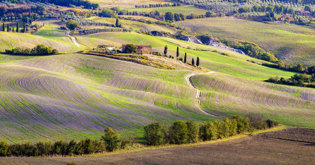 Tuscany Landscape,autumn field,road to lonely house in Tuscany